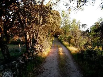 Patio Da Caetana Venkovský dům Freineda