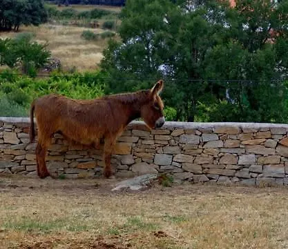 Pátio Da Caetana